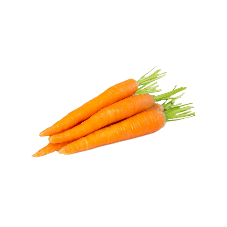 Havuç