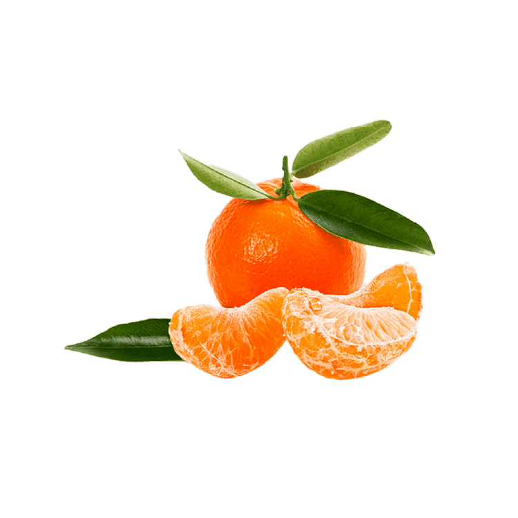 Mandalina